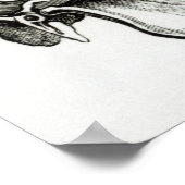 Poster Crâne d'une girafe (Coin)