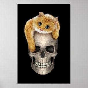 Poster Crâne et chat