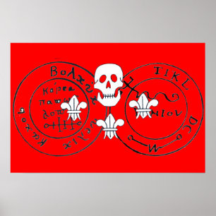 POSTER CRÂNE ET FLEUR DE LIS / CARTES AU TRÉSOR DES PIRAT
