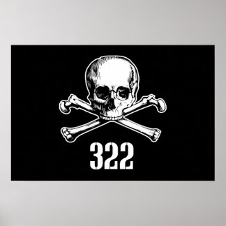 Poster Crâne et os 322