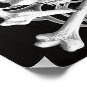 Poster Crâne et os croisés de la mort (Coin)