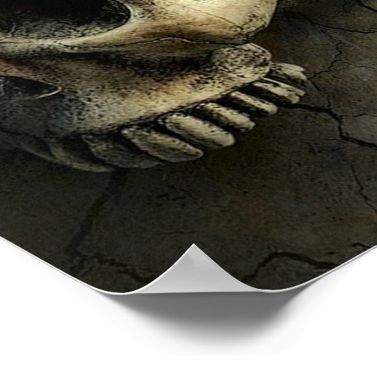 Poster Crâne et papillon (Coin)