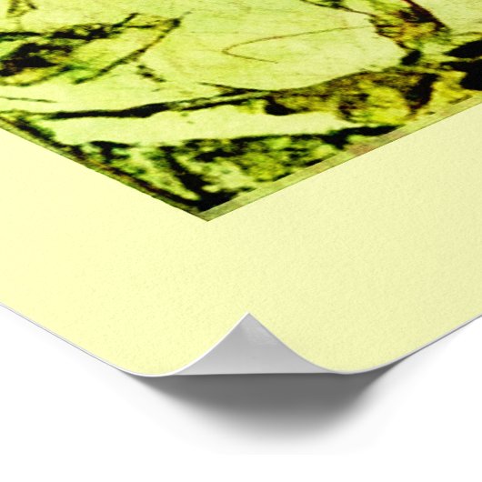 Poster Crâne et Rosier (Coin)