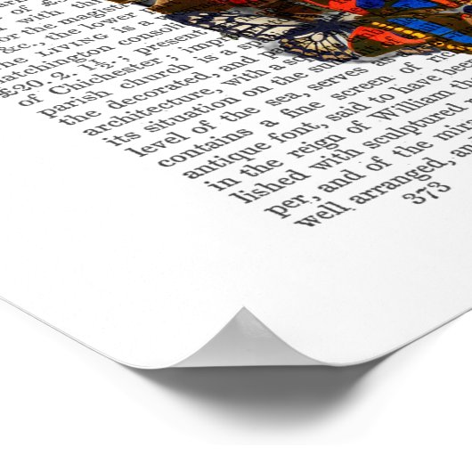 Poster Crâne papillon (Coin)