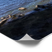 Poster Crane Prairie (Coin)