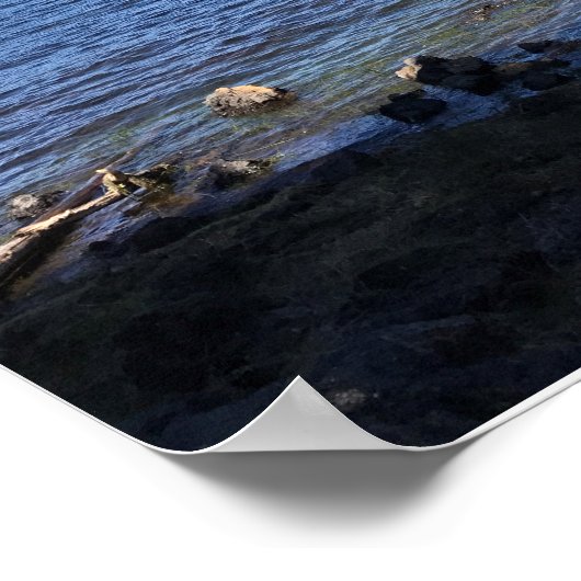 Poster Crane Prairie (Coin)