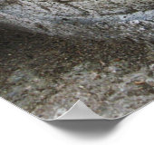 Poster Crâne thaïlandais (Coin)