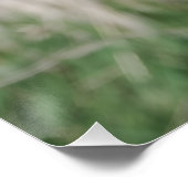 Poster Crane View (Coin)