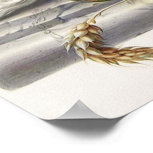 Poster Crâne vintage (Coin)