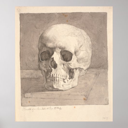 Poster Crâne, vue avant (Devant)