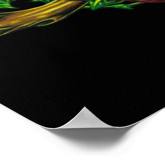 Poster Crânes, sites Web et Roses Imprimer (Coin)