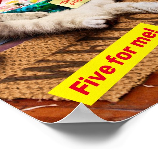 Poster Cranky Devil Cat (Coin)