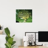 Poster Crapaud Orné, (Ceratophrys ornata), (Bureau à domicile)
