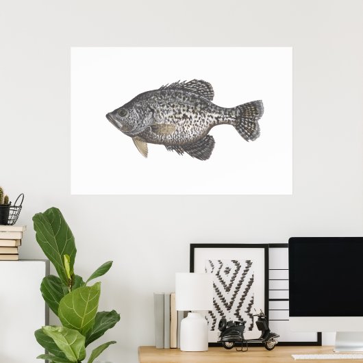 Poster Crappie (Bureau à domicile)