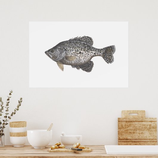 Poster Crappie (Cuisine)