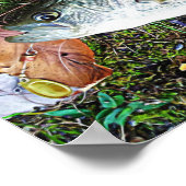 Poster Crappie blanche (Coin)