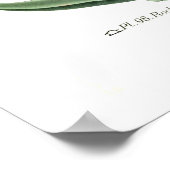 Poster Crassula falcata (Coin)