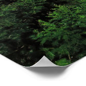 Poster Cratère de Bromo (Coin)