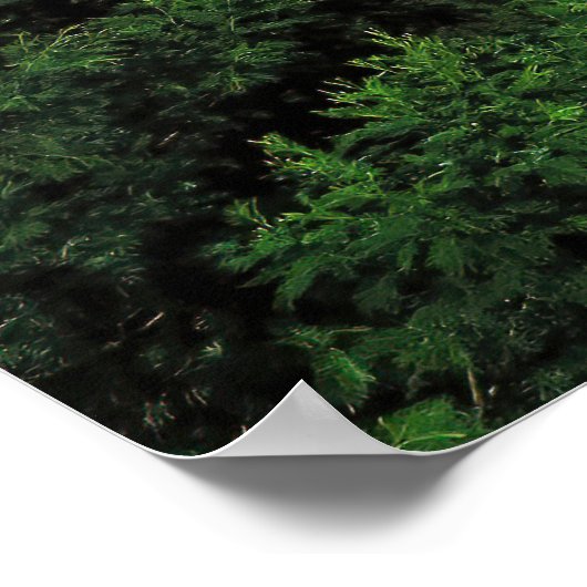 Poster Cratère de Bromo (Coin)