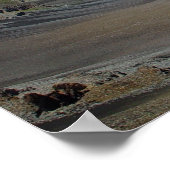 Poster Cratère de Haleakala, Maui, Hawaii (Coin)