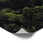 Poster Cratère de Ngorongoro, Tanzanie (Coin)