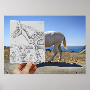 Poster Crayon contre l'appareil-photo - rayon X