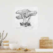 Poster Crayon de champignon inconnu illustration carré (Cuisine)