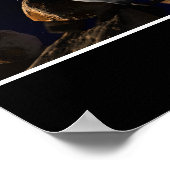 Poster Crazy Assed Pilot (Coin)