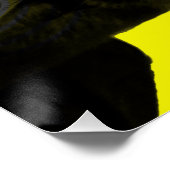 Poster Crazy Cat (Coin)