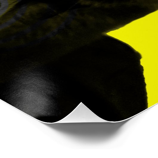 Poster Crazy Cat (Coin)