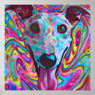 Poster Crazy Funky Whippet Chien Portrait Art