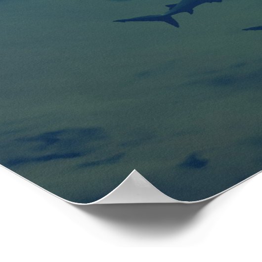 Poster Crazy Ivan (Coin)