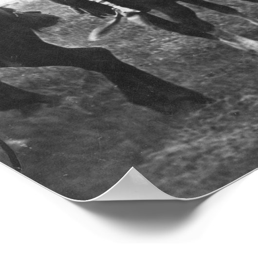 Poster Crazy Snake Assembler Ses Guerriers (Coin)