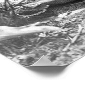 Poster Créateur de paniers de paiement : 1902 (Coin)