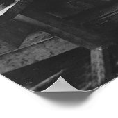 Poster Création : 1900 (Coin)