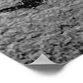 Poster Créature Alien (Coin)