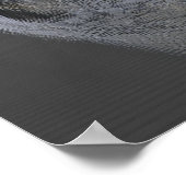 Poster Créature du lac (Coin)