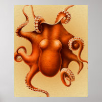 Créature du monstre de la mer d'Octopus Cephalapod