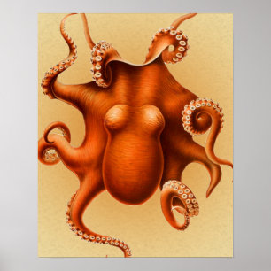 Poster Créature du monstre de la mer d'Octopus Cephalapod