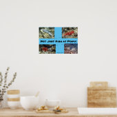 Poster Créatures sur la plage de Poipu (Cuisine)