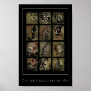 Poster créatures tendres d'un dieu