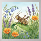 Poster Crèche Petits Insectes Cricket (Devant)