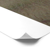 Poster Créé pour lui (Coin)