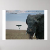 Poster Créé pour lui (Devant)