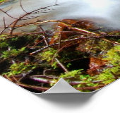 Poster Creek dans le parc national du Mont-Rainier (Coin)