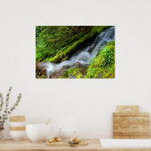 Poster Creek dans le parc national du Mont-Rainier (Cuisine)