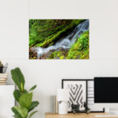 Poster Creek dans le parc national du Mont-Rainier (Bureau à domicile)