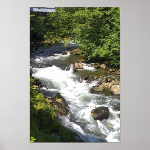 Poster Creek Street Rapids - Ketchikan, Alaska