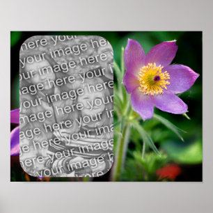 Poster Créez votre propre cadre de fleurs Pasque Photo