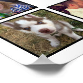 Poster Créez Votre Propre Collage Photo Personnalisé Avec (Coin)